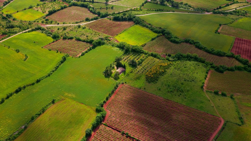 beechwood park land